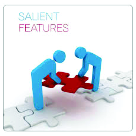 salient features